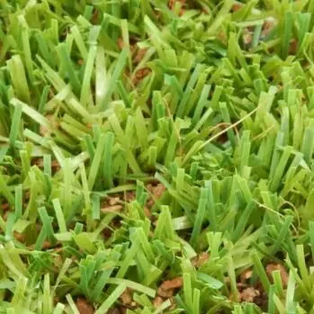 geofill-close-up-1024x349 Shawgrass | House of Carpets and Lighting